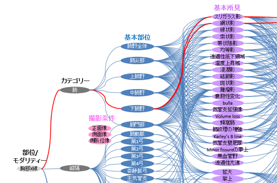 知識ベース